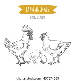 Vector illustration of hand drawn chickens, isolated on white background. Farm animals collection.