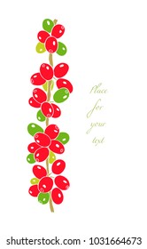 Vector illustration of hand drawn Coffea plant. Beautiful food design elements, ink drawing, logo template