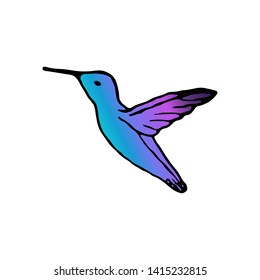 Vector illustration of hand drawn colibri. Vector tropical bird.