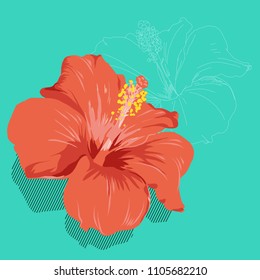 Vector illustration. Hand drawn colorful hibiscus flowers. included line art background.