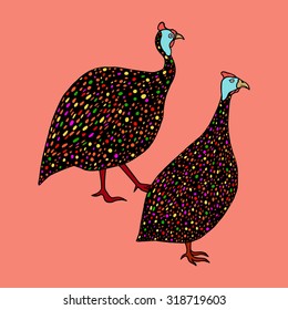 Vector illustration of hand drawn colorful guinea fowl.