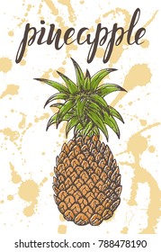 Vector illustration, hand drawn colorful pineapple with inscription