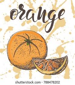 Vector illustration, hand drawn colorful orange with inscription