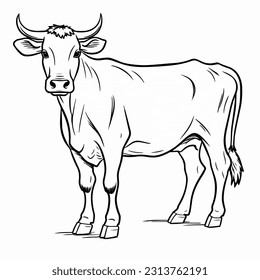 Vector illustration of a hand drawn coloring book page featuring a cow