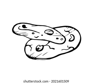 Vector illustration of hand drawn cookies in doodle style isolated on white background.