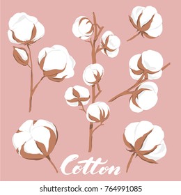 vector illustration of hand drawn cotton flowers with text on pink background 