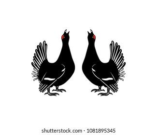 Vector illustration of hand drawn couple of forging black grouses. Beautiful animal design elements, ink drawing.
