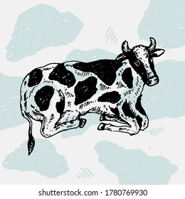 Vector illustration hand drawn of cow 