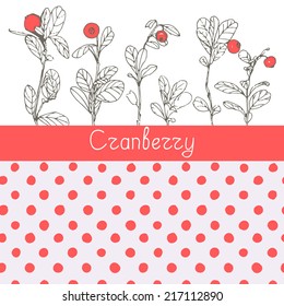 Vector illustration with hand drawn cranberries and polka dot seamless pattern