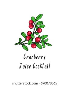 Vector illustration of hand drawn cranberry twig. Beautiful cranberry products design elements, ink drawing. 