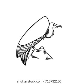 Vector illustration of hand drawn creepy and comic vulture. Ink drawing, beautiful Halloween design elements.