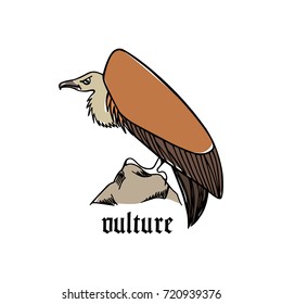 Vector illustration of hand drawn creepy and comic vulture. Ink drawing, beautiful Halloween design elements.