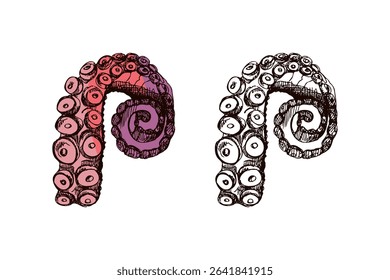 Vector illustration of hand drawn curled octopus tentacle in vintage engraving style. Includes color and monochrome versions. Perfect for marine projects and sea-themed designs.