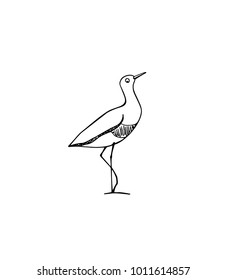 Vector illustration of hand drawn cute sandpiper. Beautiful animal design elements, ink drawing, logo template