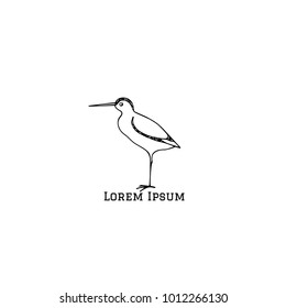 Vector illustration of hand drawn cute sandpiper. Beautiful animal design elements, ink drawing, logo template