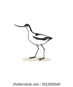 Vector illustration of hand drawn cute avocet with long bill. Beautiful animal design elements, ink drawing, logo template