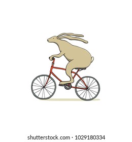 Vector illustration of hand drawn cute hare riding a bike, made with ink. Beautiful  animal design elements, sweet character.