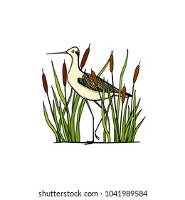 Vector illustration of hand drawn cute stilt standing among water plants. Beautiful animal design elements, ink drawing, logo template