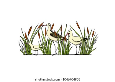 Vector illustration of hand drawn cute sandpipers standing among water plants. Beautiful animal design elements, ink drawing, logo template