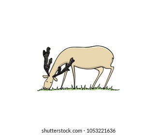 Vector illustration of hand drawn cute grazing deer. Beautiful ink drawing, sketch style. Perfect design elements, animal illustration