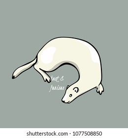 Vector illustration of hand drawn cute weasel. Beautiful animal design elements, ink drawing.