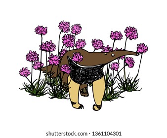 Vector illustration of hand drawn cute anteater hiding behind pink flowers. Beautiful ink drawing, sketch style. Perfect design elements, animal illustration