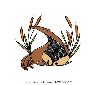 Vector illustration of hand drawn cute anteater in floral wreath. Beautiful ink drawing, sketch style. Perfect design elements, animal illustration
