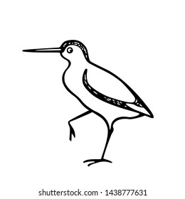 Vector illustration of hand drawn cute sandpiper. Beautiful animal design elements, ink drawing, logo template