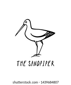 Vector illustration of hand drawn cute sandpiper. Beautiful animal design elements, ink drawing, logo template