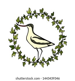 Vector Illustration Of Hand Drawn Cute Sandpiper In English Ivy Wreath. Beautiful Animal Design Elements, Ink Drawing, Logo Template