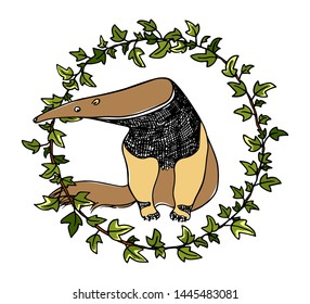 Vector Illustration Of Hand Drawn Cute Anteater In English Ivy Wreath. Beautiful Ink Drawing, Sketch Style. Perfect Design Elements, Animal Illustration