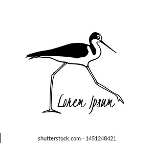 Vector illustration of hand drawn cute wading black-winged stilt. Beautiful animal design elements, ink drawing, logo template