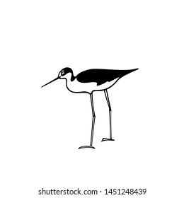 Vector illustration of hand drawn cute black-winged stilt. Beautiful animal design elements, ink drawing, logo template