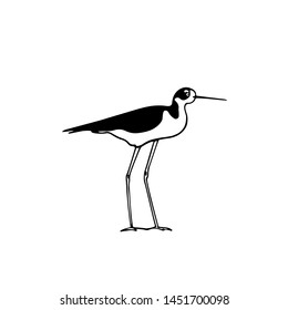 Vector illustration of hand drawn cute black-winged stilt. Beautiful animal design elements, ink drawing, logo template