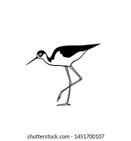 Vector illustration of hand drawn cute black-winged stilt. Beautiful animal design elements, ink drawing, logo template