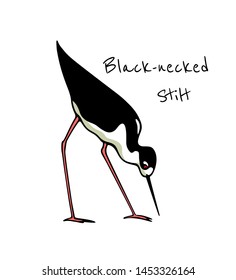 Vector illustration of hand drawn cute wading black-necked stilt. Beautiful animal design elements, ink drawing, logo template