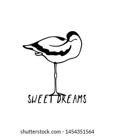 Vector illustration of hand drawn cute sleeping Pied Avocet. Beautiful animal design elements, ink drawing, logo template