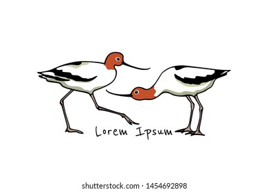 Vector illustration of hand drawn cute Red-necked Avocets. Beautiful animal design elements, ink drawing, logo template