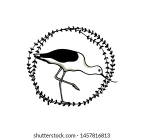 Vector illustration of hand drawn cute Andean Avocet in vintage floral frame. Beautiful animal design elements, ink drawing, logo template