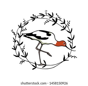 Vector illustration of hand drawn cute Red-necked Avocet in floral vintage frame. Beautiful animal design elements, ink drawing, logo template