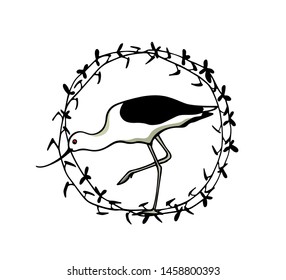 Vector illustration of hand drawn cute Pied Avocet in vintage floral frame. Beautiful animal design elements, ink drawing, logo template