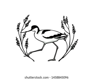 Vector illustration of hand drawn cute Pied Avocet in vintage floral frame. Beautiful animal design elements, ink drawing, logo template