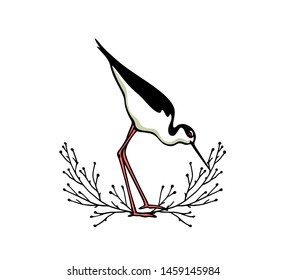 Vector illustration of hand drawn cute Black-necked stilt in floral vintage laurel. Beautiful animal design elements, ink drawing, logo template