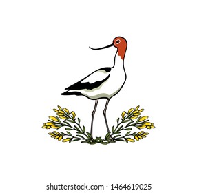 Vector illustration of hand drawn cute Red-necked Avocet in vintage floral laurel. Beautiful animal design elements, ink drawing, logo template