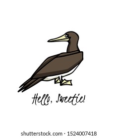 Vector illustration of hand drawn cute Brown Booby. Ink drawing, beautiful animal and nautical design elements.