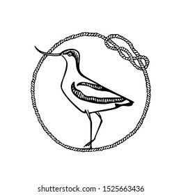 Vector illustration of hand drawn cute sandpiper in nautical rope frame. Beautiful animal design elements, ink drawing, logo template