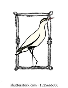 Vector illustration of hand drawn cute shorebird in nautical rope frame. Beautiful animal design elements, ink drawing, logo template