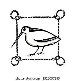 Vector illustration of hand drawn cute shorebird in nautical rope frame. Beautiful animal design elements, ink drawing, logo template