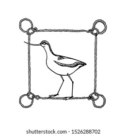 Vector illustration of hand drawn cute shorebird in nautical rope frame. Beautiful animal design elements, ink drawing, logo template