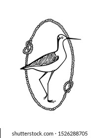 Vector illustration of hand drawn cute shorebird in nautical rope frame. Beautiful animal design elements, ink drawing, logo template